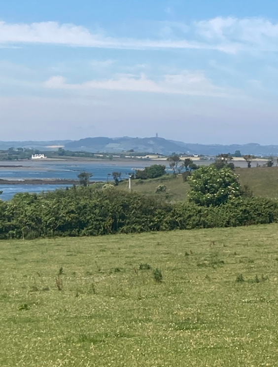 View from Sketrick to Scrabo